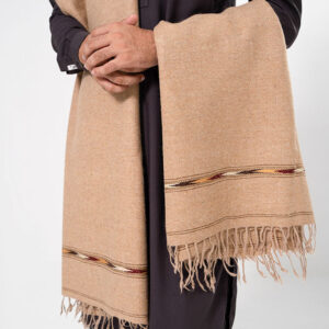 Home Pashmina Wool Shawl from Pakistan